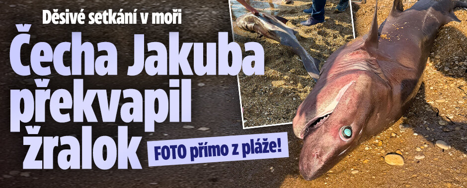 Čecha Jakuba v moři překvapil žralok: FOTO přímo z pláže!