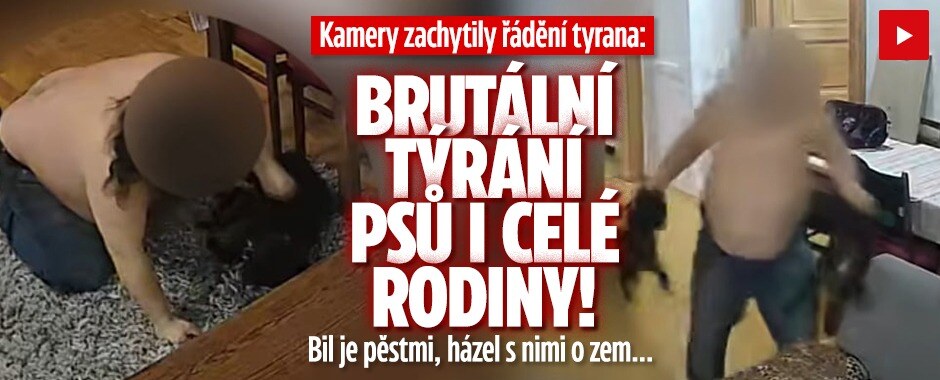 Tyran terorizoval celou domácnost: Šílené video zachycuje, jak do psů bušil pěstmi a házel s nimi o zem