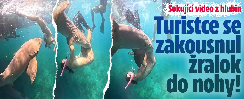Šokující video z hlubin: Turistce se zakousnul žralok do nohy!