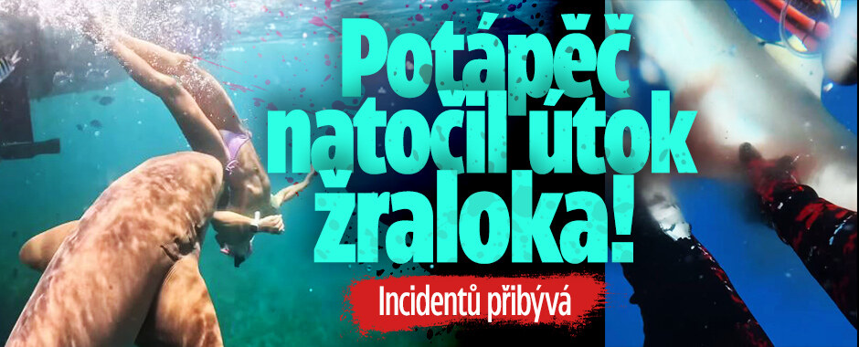 Potápěč natočil útok žraloka: Podobných případů přibývá!