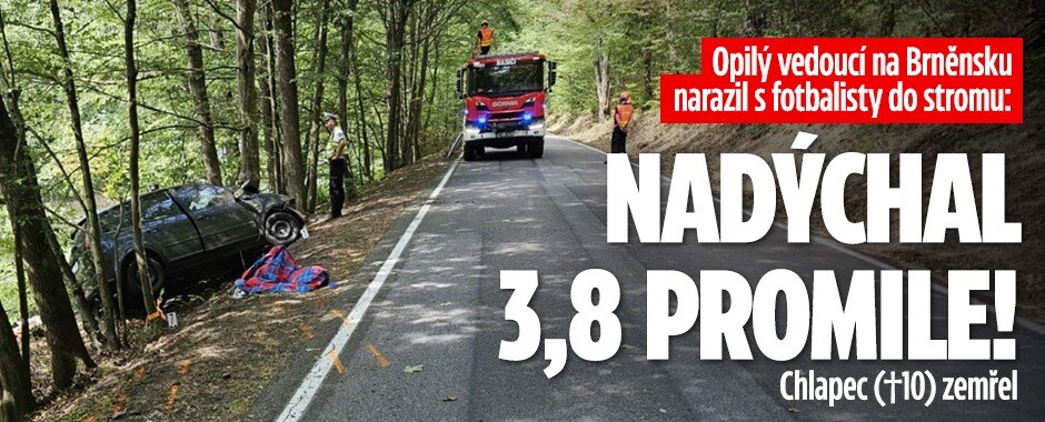 Opilý vedoucí najel s autem plným malých fotbalistů do stromu: Nadýchal 3,8 promile! Chlapec (†10) zemřel