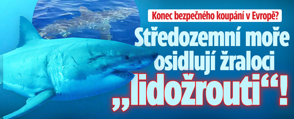 Konec bezpečného koupání v Evropě? Středozemní moře osidlují žraloci „lidožrouti“!