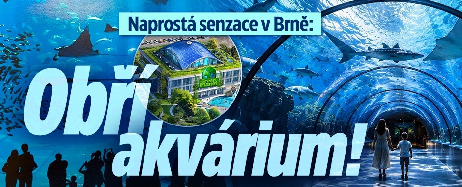 Senzace v Brně: Obří akvárium! Žít v něm budou tisíce živočichů