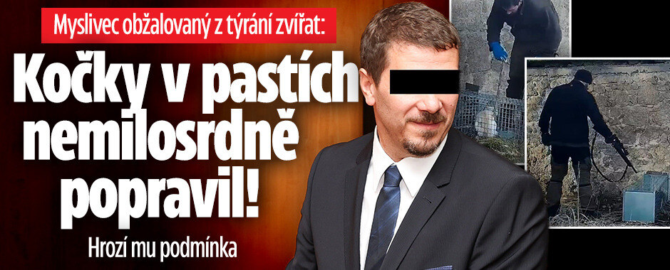 Správce obory popravoval kočky v pastích: Žalobce mu navrhl podmínku! Myslivec je považoval za „škodnou“ 