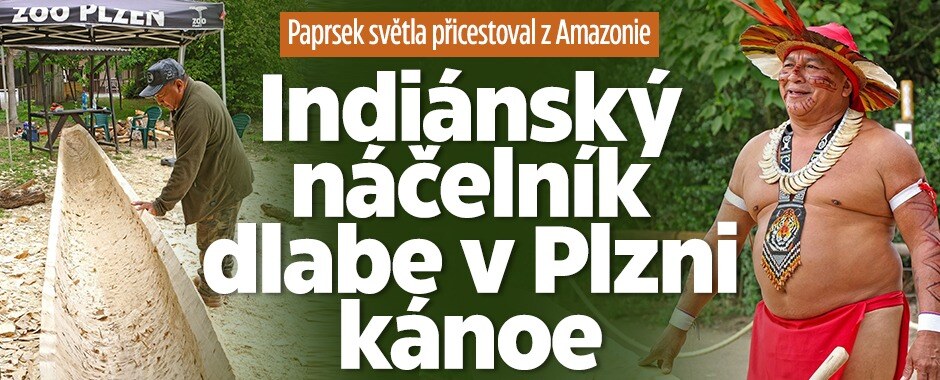 Indiánský náčelník kmene z Amazonie v Plzni: Pro zoo dlabe kánoe 